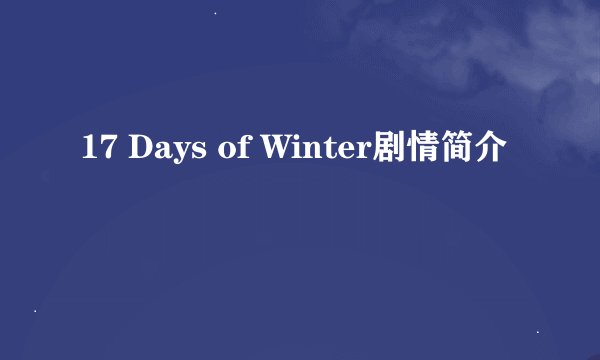 17 Days of Winter剧情简介