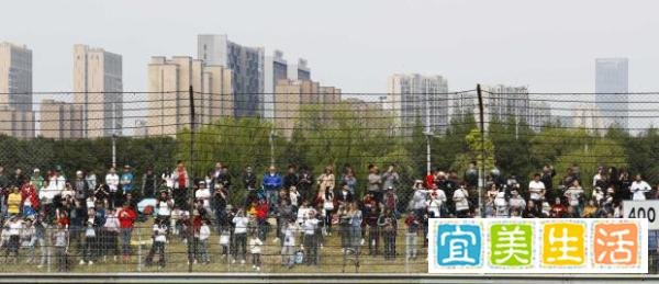 赛前准备无法开展 F1中国站比赛延期
