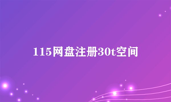 115网盘注册30t空间
