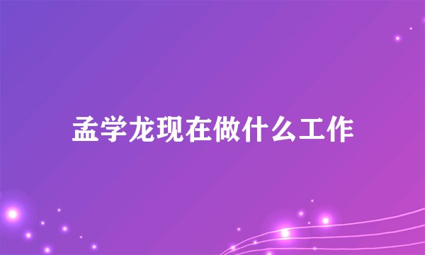 孟学龙现在做什么工作