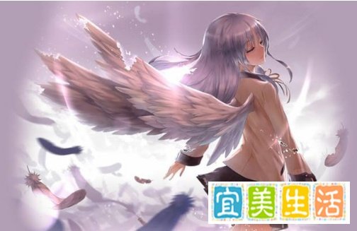 “羽翼”是什么意思