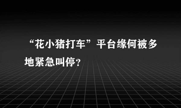 “花小猪打车”平台缘何被多地紧急叫停？