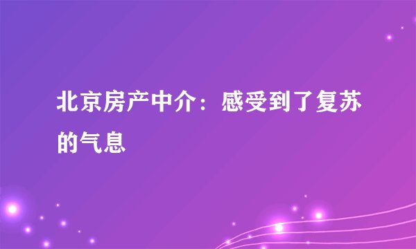 北京房产中介：感受到了复苏的气息