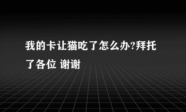 我的卡让猫吃了怎么办?拜托了各位 谢谢