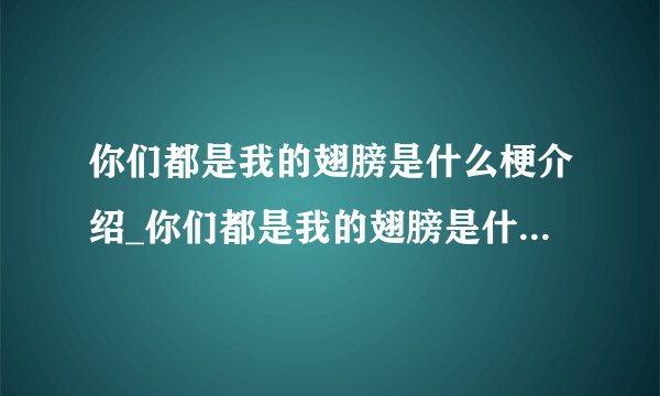 你们都是我的翅膀是什么梗介绍_你们都是我的翅膀是什么梗是什么