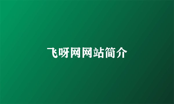 飞呀网网站简介