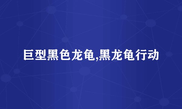 巨型黑色龙龟,黑龙龟行动