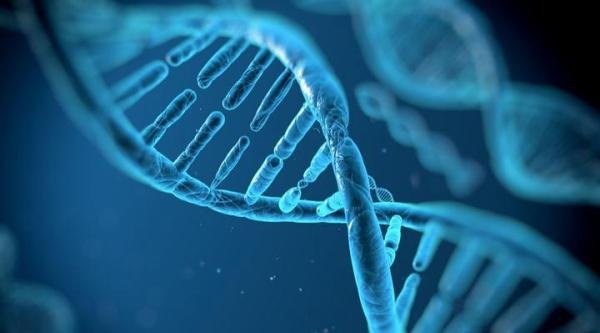 为什么确认132人全部遇难，东航MU5735遇难者DNA是如何比对的？