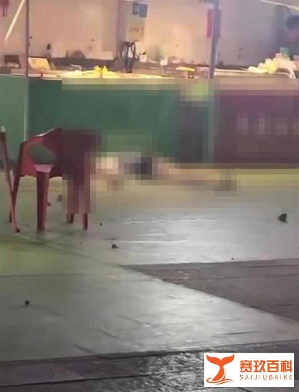 被砸死亡女子姐姐希望嫌疑人死刑,当晚共抛物三次,砸伤2人
