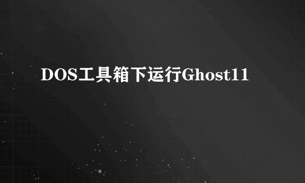 DOS工具箱下运行Ghost11