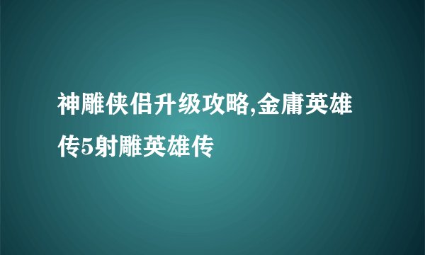 神雕侠侣升级攻略,金庸英雄传5射雕英雄传