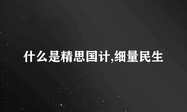 什么是精思国计,细量民生