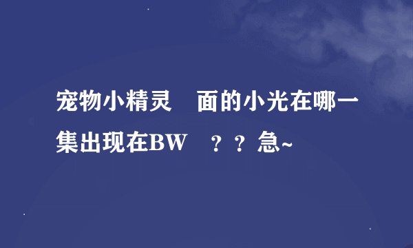 宠物小精灵裏面的小光在哪一集出现在BW裏？？急~