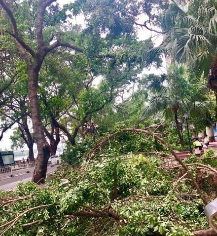 台风“山竹”过后,损失了多少?买保险了吗?