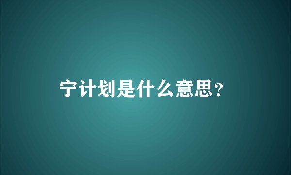 宁计划是什么意思？