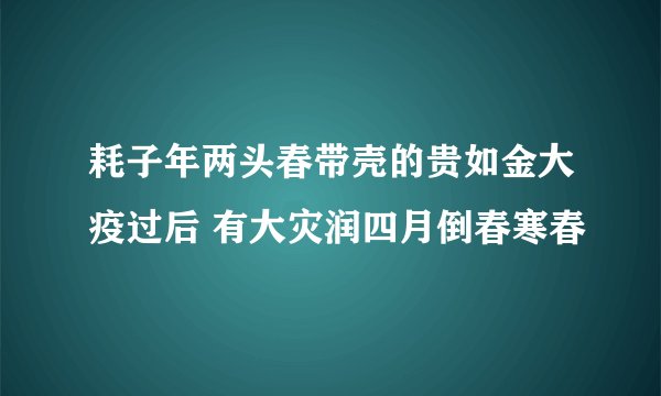 耗子年两头春带壳的贵如金大疫过后 有大灾润四月倒春寒春