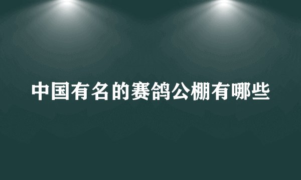 中国有名的赛鸽公棚有哪些