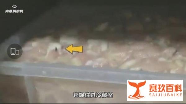 外卖平台销量第一的炸鸡店有多脏?脏到超乎你的想象
