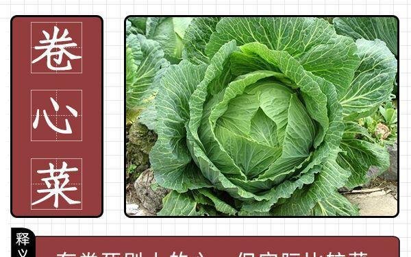 省考延期的影响及备考方案