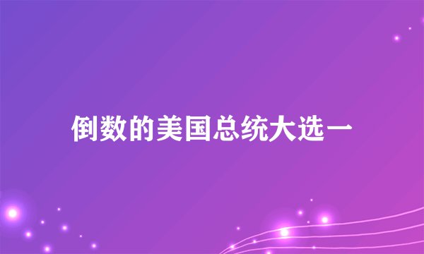 倒数的美国总统大选一