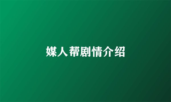 媒人帮剧情介绍