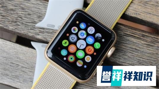 虽没发布iPhone12，但仍旧有惊喜！