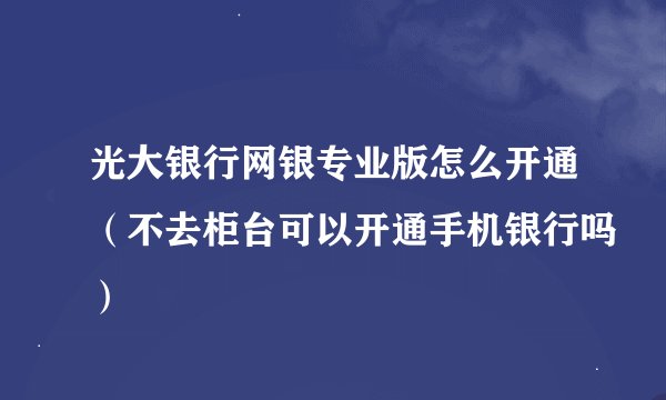 光大银行网银专业版怎么开通（不去柜台可以开通手机银行吗）