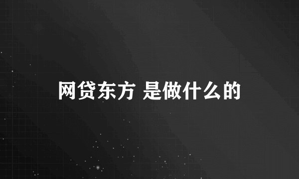 网贷东方 是做什么的