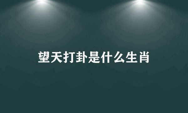 望天打卦是什么生肖