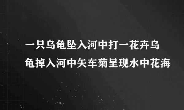 一只乌龟坠入河中打一花卉乌龟掉入河中矢车菊呈现水中花海