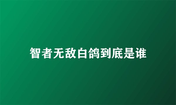 智者无敌白鸽到底是谁