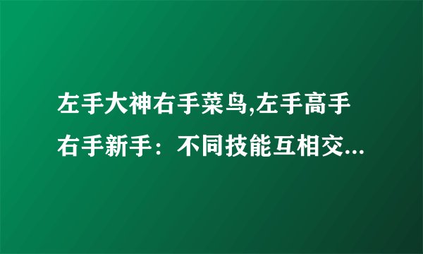左手大神右手菜鸟,左手高手右手新手：不同技能互相交流，合作进步