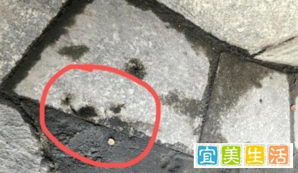 “江西藏尸案”凶手被抓后续：键盘侠网暴司机，好心人陷入困境