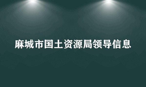 麻城市国土资源局领导信息