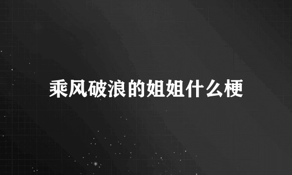 乘风破浪的姐姐什么梗