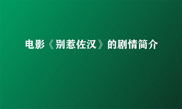 电影《别惹佐汉》的剧情简介
