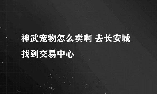 神武宠物怎么卖啊 去长安城找到交易中心