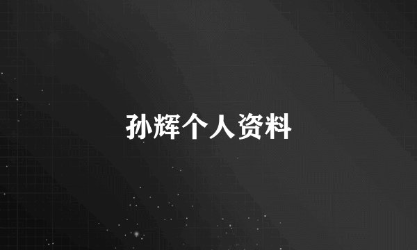 孙辉个人资料