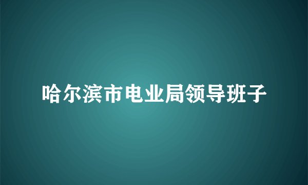 哈尔滨市电业局领导班子