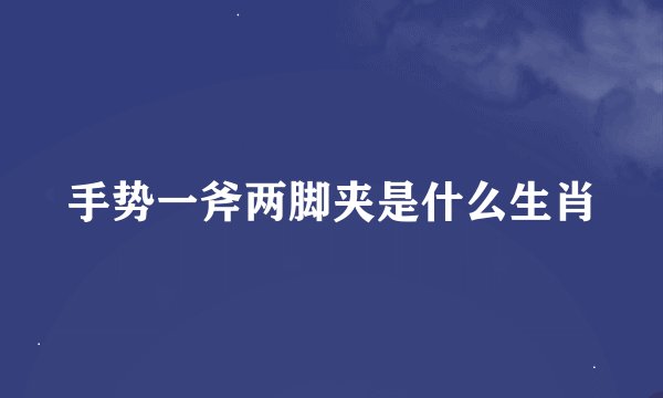 手势一斧两脚夹是什么生肖