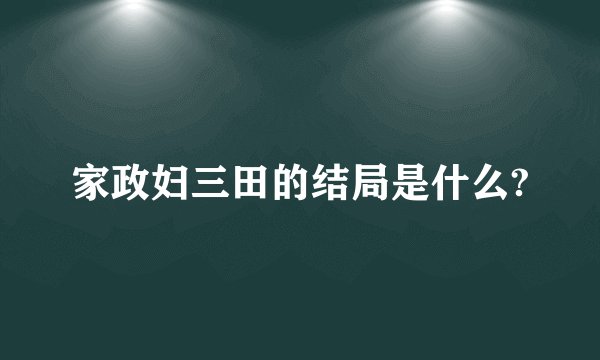 家政妇三田的结局是什么?