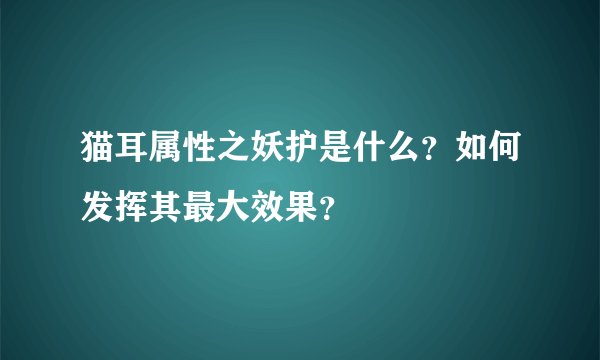 猫耳属性之妖护是什么？如何发挥其最大效果？