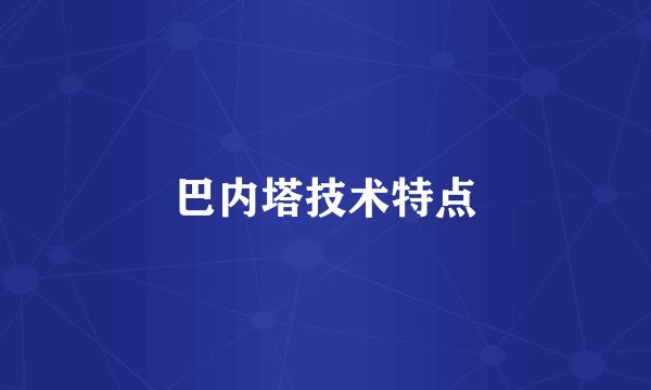 巴内塔技术特点