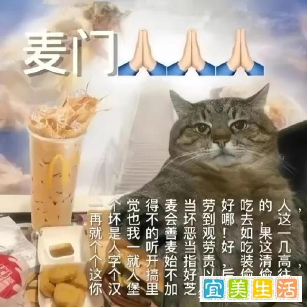 25汉硕|“麦门”“猫门”——浅析“X门”现象