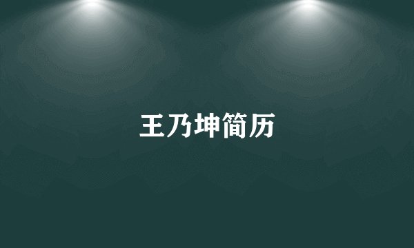 王乃坤简历
