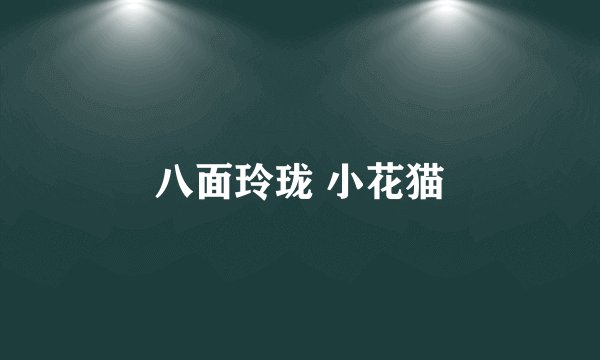八面玲珑 小花猫