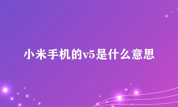 小米手机的v5是什么意思