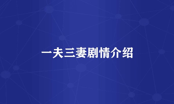 一夫三妻剧情介绍