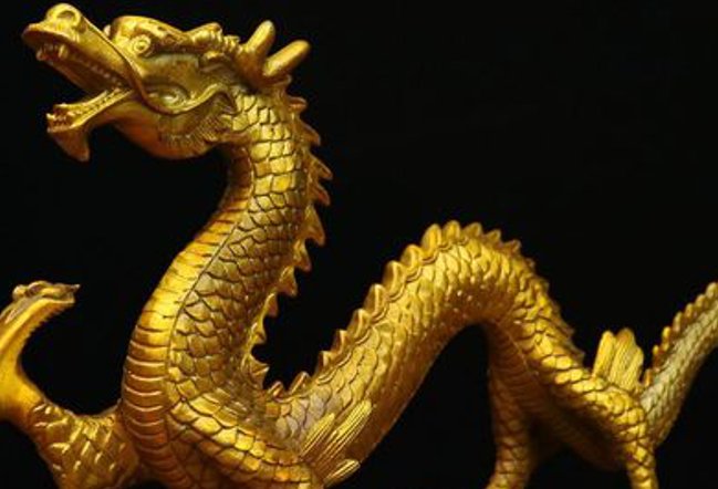 没头没尾的动物猜生肖