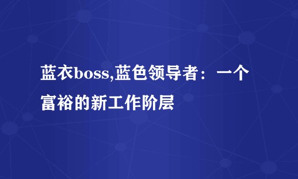 蓝衣boss,蓝色领导者：一个富裕的新工作阶层